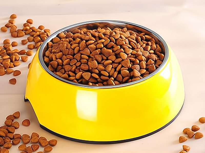 tigela cheia de comida para animais de estimação